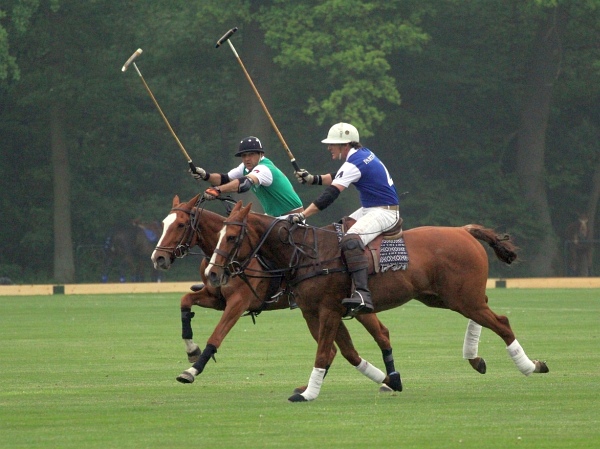 Polo_Art   017.jpg